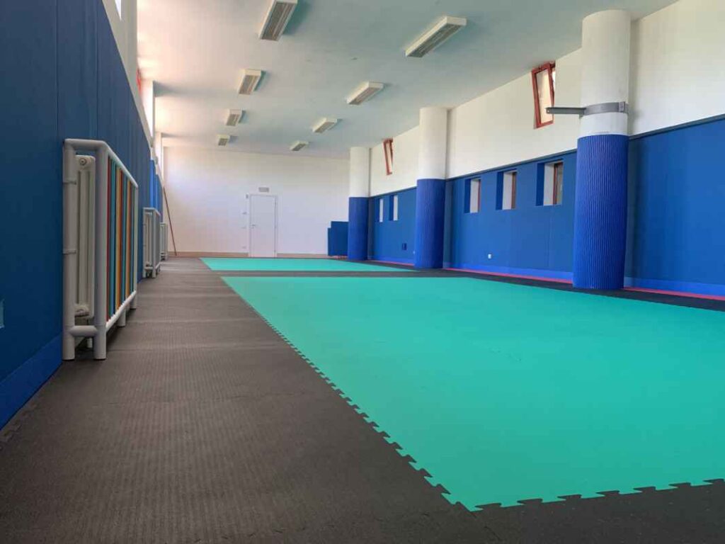 tatami per palestre